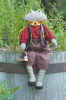 18 inch frog doll pattern